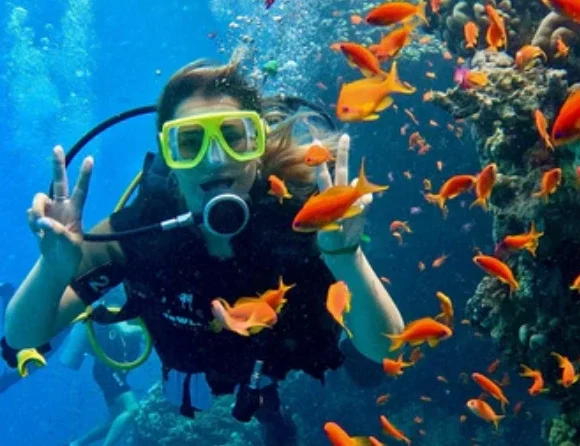 Dive into the Magic of Sharm’s Underwater World