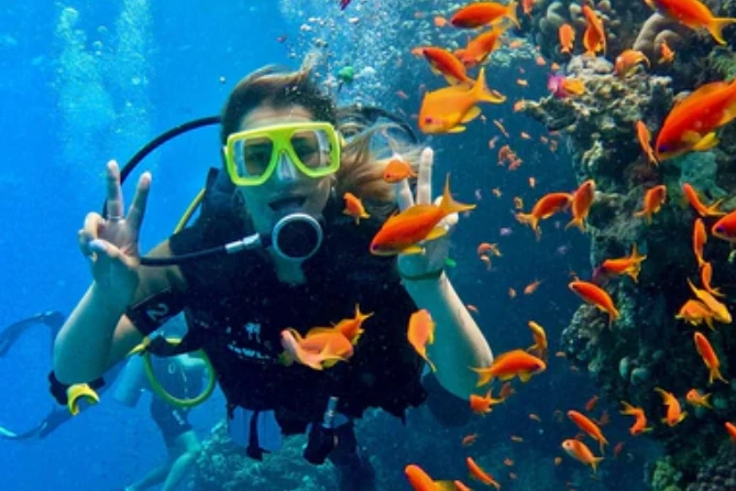 Diver surrounded by colorful fish and coral in Sharm El Sheikh