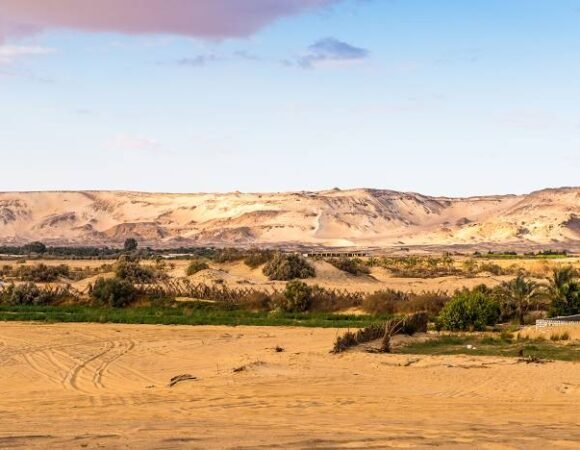 Bahariya Oasis: 9 Must-See Highlights and Unique Experiences