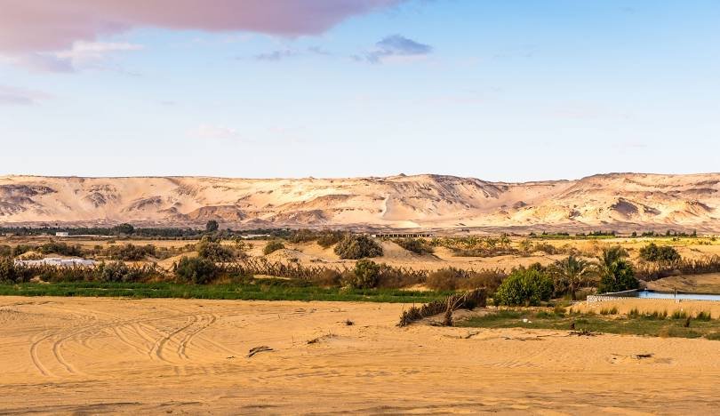 Bahariya Oasis