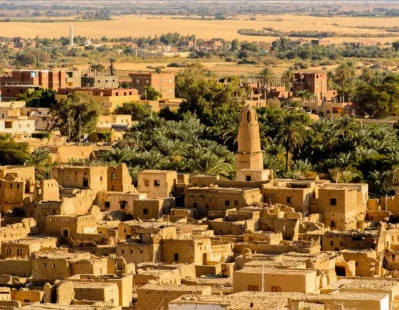 Dakhla Oasis: 8 Incredible Highlights for an Unforgettable Visit