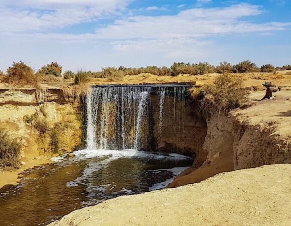 Fayoum Oasis: 7 Amazing Experiences and Its Attractions