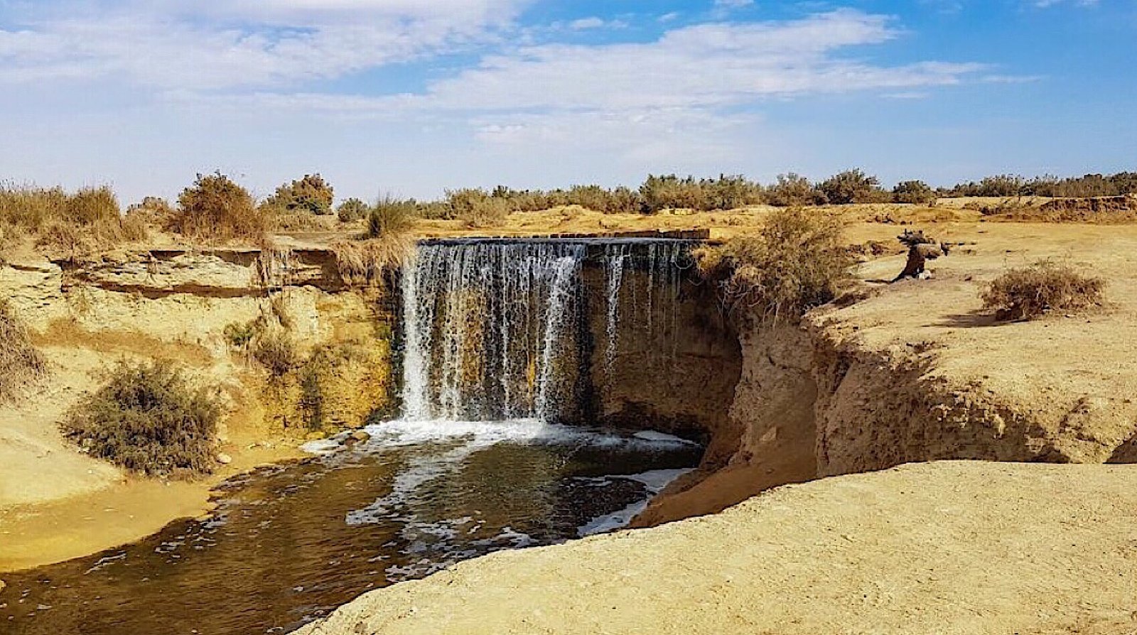 Fayoum Oasis