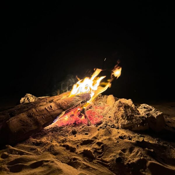 White and Black Desert